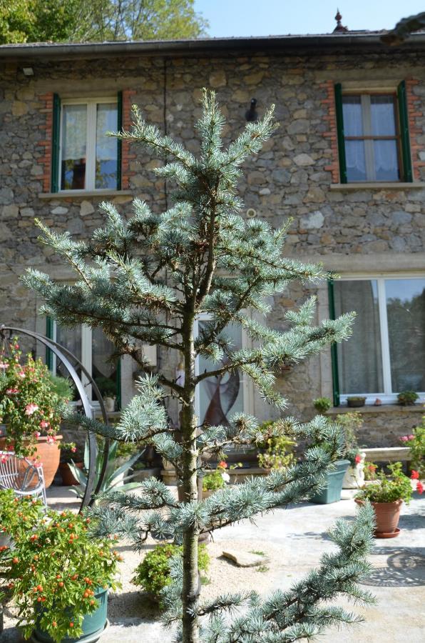 Studio Malou, Cuisine, Salle D'Eau, Terrasse Amenagee Olliergues Exterior foto
