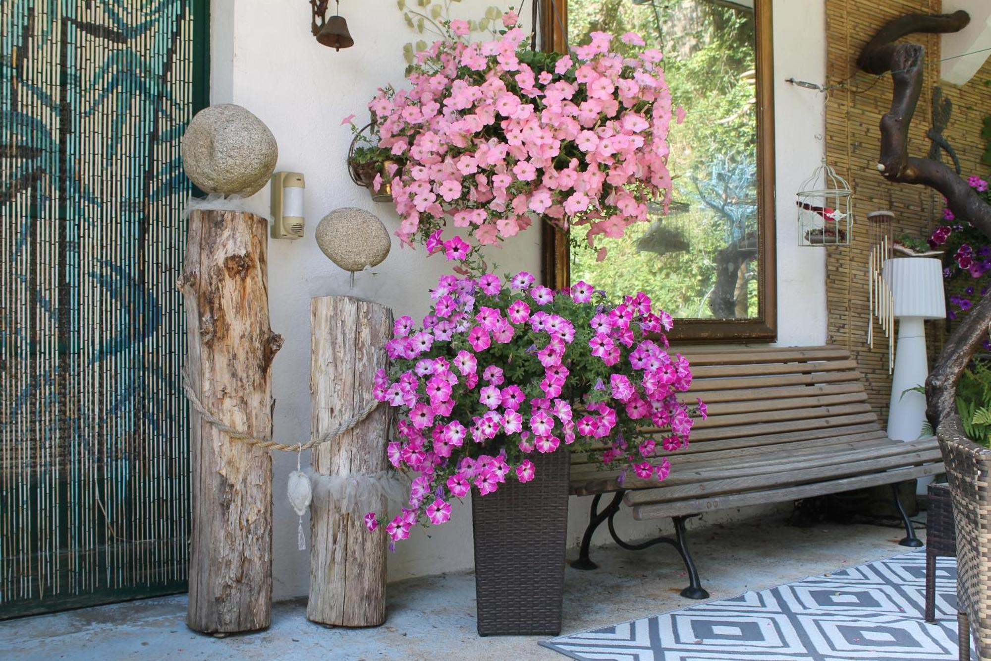 Studio Malou, Cuisine, Salle D'Eau, Terrasse Amenagee Olliergues Exterior foto